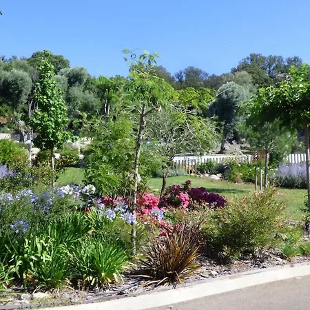 Rez De Jardin Dans De Charme ... شقة بورتو فيكشْيو