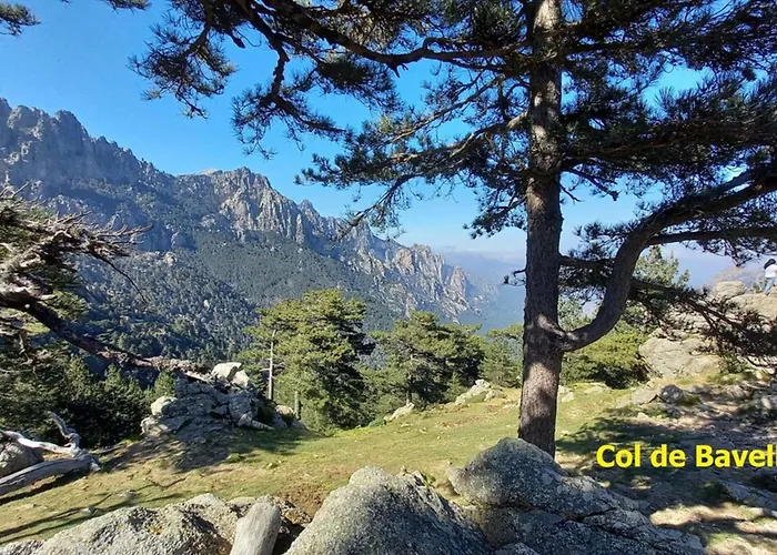 Rez De Jardin Dans De Charme ... Daire *