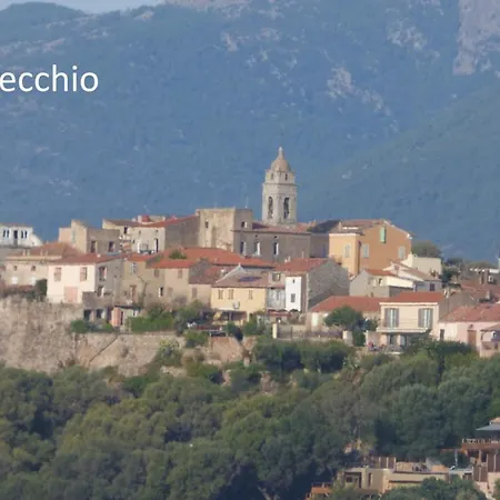 アパート Rez De Jardin Dans De Charme ... ポルトヴェッキオ