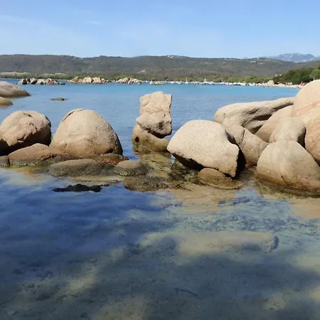 Apartament Rez De Jardin Dans De Charme ... Porto-Vecchio (Corsica)