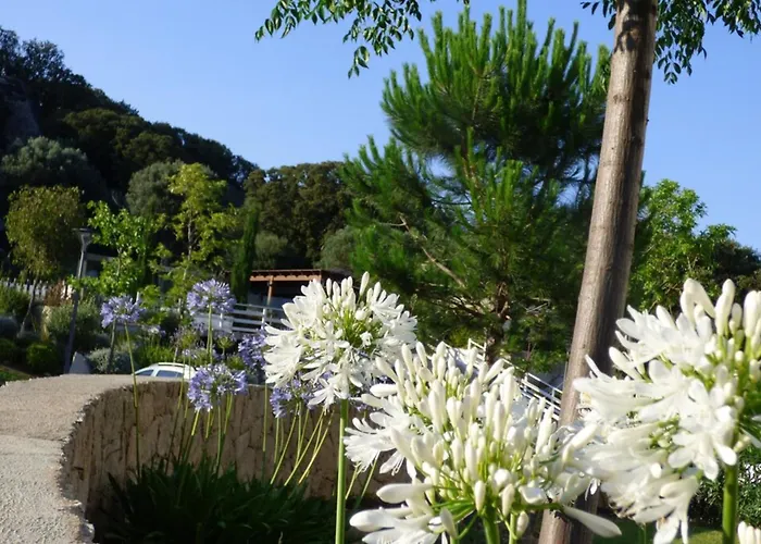 Rez De Jardin Dans De Charme ... Porto-Vecchio (Corsica)
