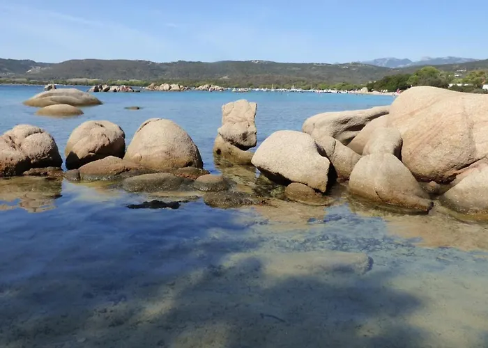 Appartement Rez De Jardin Dans De Charme ... Porto-Vecchio (Corsica)