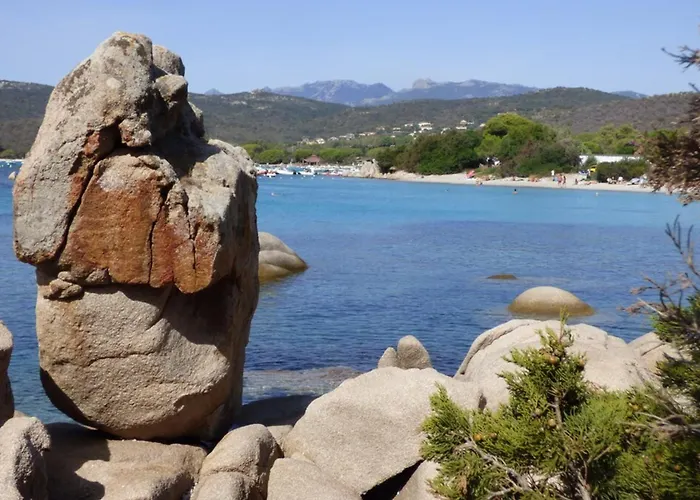 Rez De Jardin Dans De Charme ... Appartement *