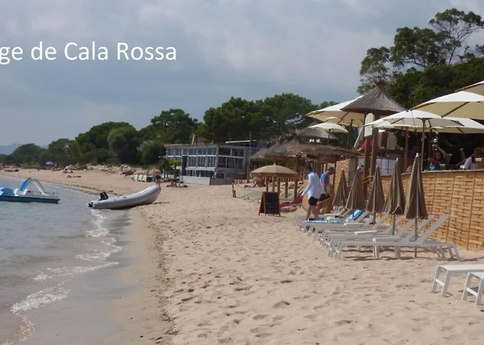 Rez De Jardin Dans De Charme ... Appartement